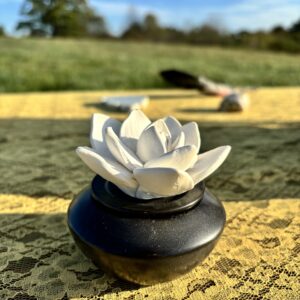 Shamanic Healing Session (90 Minutes)