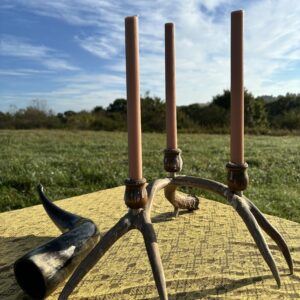 Shamanic Healing - 5 Session Package